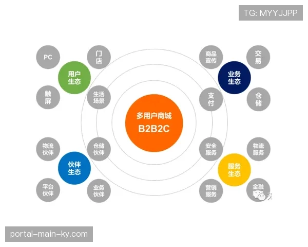 多平台分发策略重构观众触达模式 提升内容传播效率